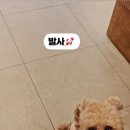 우리집첫째 양산점 이미지