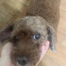 영화동천 | 동천