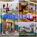 참사랑약국 | 청주 외곽 카페 빛그리다 반려동물 동반가능한 아이와 가볼만한 곳 내돈내산 후기
