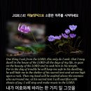 소중한하루