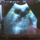 애경동물병원 이미지