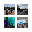 더짐 주식회사 네이버블로그