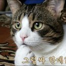 업로드PC방 이미지