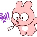 젤리프렌즈