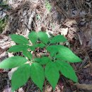 하루농장 이미지