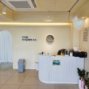 라이프독 강릉점 24시 강아지분양 고양이분양 이미지