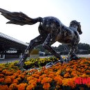 아트스토리텔러 이미지