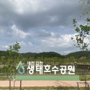 하천(갑천1) | 대전 갑천생태호수공원 주차 꿀팁 주차장 위치 모르면 뱅뱅 돕니다