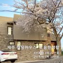 에퀴녹스 드 금능 민박 | 제주도 감성 숙소, 프라이빗 독채펜션 지역별 추천 3곳