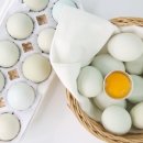 청계농장 이미지