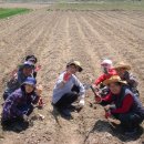 선인농장 이미지