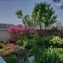 간호사랑요양원 이미지