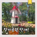 창원 장미공원 실시간 만개! 주차 위치 운영시간 총정리