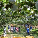 새자리농원 이미지