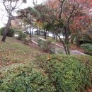 11월 4일(710회) 지도공원-봉대산-한강고양생태공원-가양대교-허준공원-궁산을 걸은 흔적입니다.. 이미지