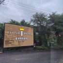 어린왕자 - 제주시 중산간동로 663-1 | 남양주 감성카페 추천, 비 오는 날 더 예쁜 '꽃과어린왕자' 방문 후기