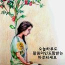 샬롬 이미지