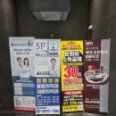 에이블 동물병원 | 백미당 당산점 베이커리특화매장 신규오픈 당산 아이스크림 맛집 라떼맛집