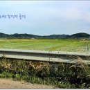 예산국밥 이미지