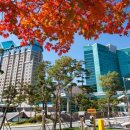 가을호텔 이미지