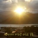 이레펜션 이미지