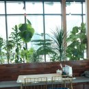 배말칼국수김밥 기장정관점 이미지