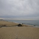 바다부채길2 이미지