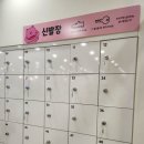라라키즈 어드벤처 이미지