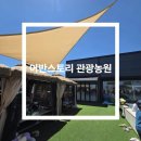 어반스토리 관광농원 이미지