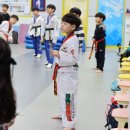 경희대 효 태권도장 | 다양한 자격증 기초부터 완벽하게 배울 수 있는 곳! [동탄경희대태권도]