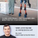 바싹 이미지