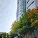 율하초등학교 앞 이미지