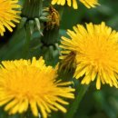 베베산후조리원 이미지