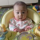 실버팍스 네이버블로그