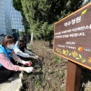 덕수중학교 이미지