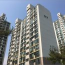 사파동405 이미지