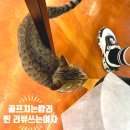 안성대로 | 포웰CC안성 근처식당 미향 본점 , 생선구이 식사 후기