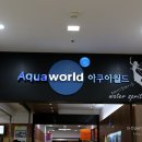 아쿠아 노래연습장 이미지