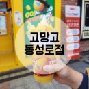 고망고 동성로점