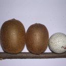 하정농장 이미지