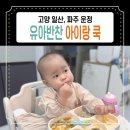 배달더쿡 | 일산 운정 유아반찬 배달 아이랑쿡 1년 이용 후기