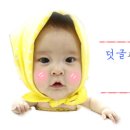 쫑이네 하우스