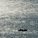 은빛바다 이미지