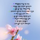 늘우리세탁소