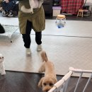 독플러스 이미지