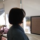 목련헤어매직