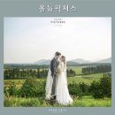 소피토제주 이미지