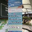 달전천 | [자라섬 이화원 꽃 구경] 가평 달전천 산책로