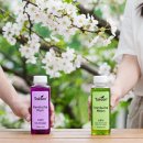 세계섬유㈜ | 봄철 다이어트 성공 비결! 티젠 콤부차 신상 자두 멜론맛 후기 및 효능 3가지