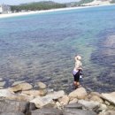 수목화 송정마을 오토캠핑장 이미지